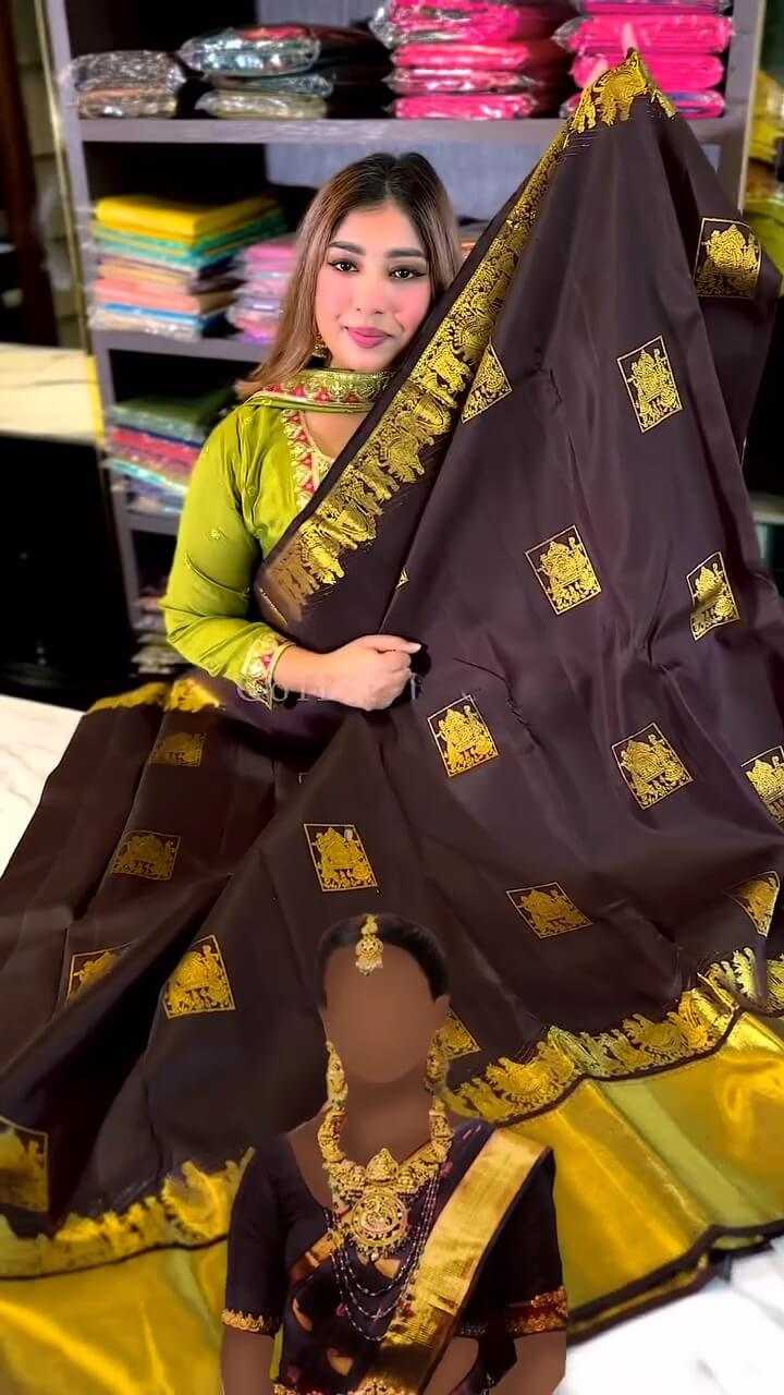 Banarasi Soft Silk Saree