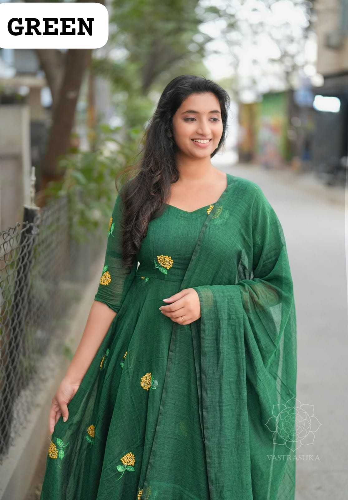 Tisha Vichitra Silk Embroidery Gown