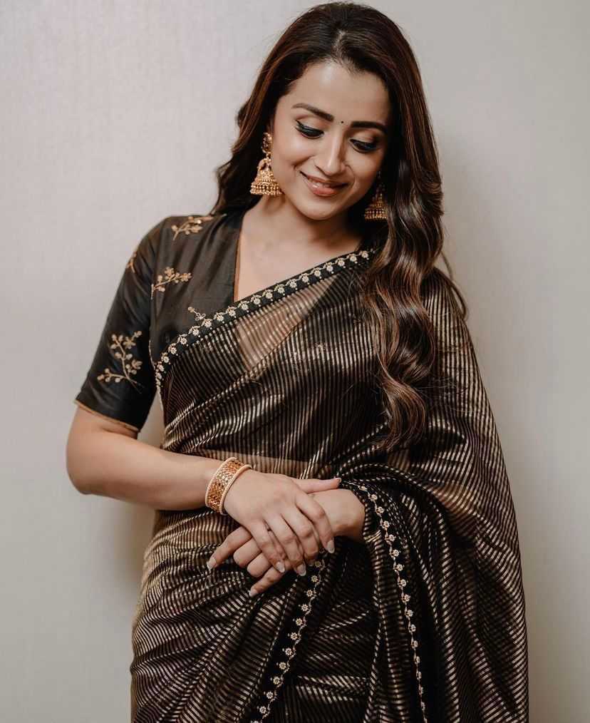 Trisha Organza Designer Saree