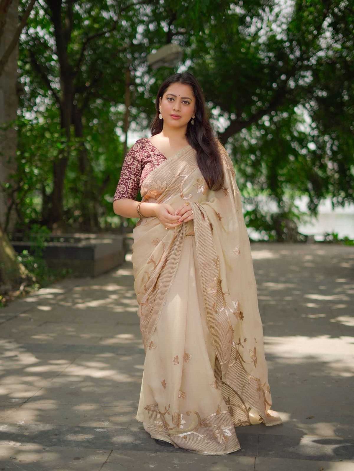 Georgette Saree