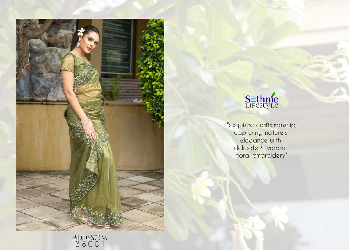Fancy Sequin Saree