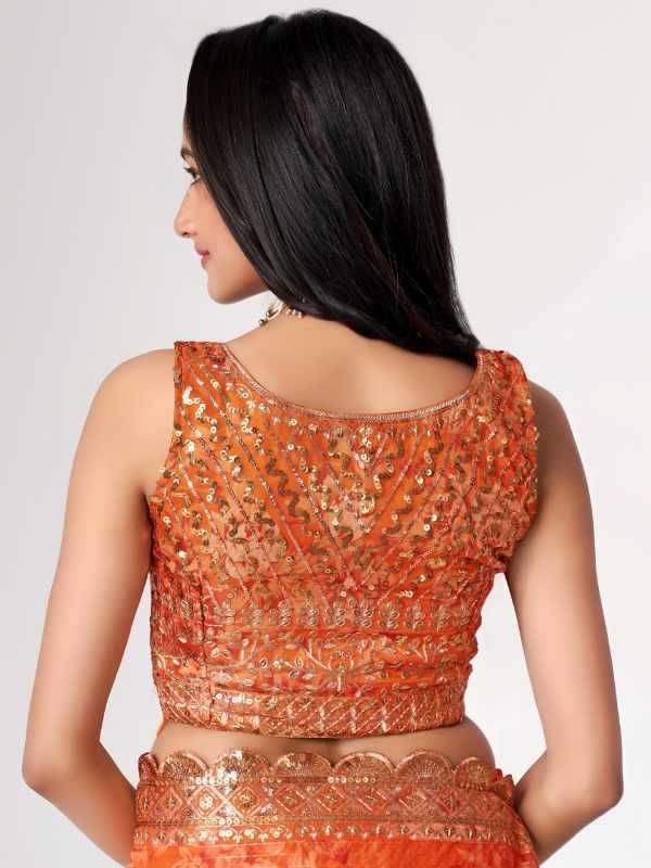 Organza Sequin Saree in Matching