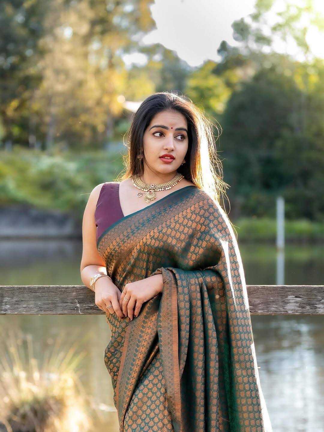 Banarasi Soft Silk Saree