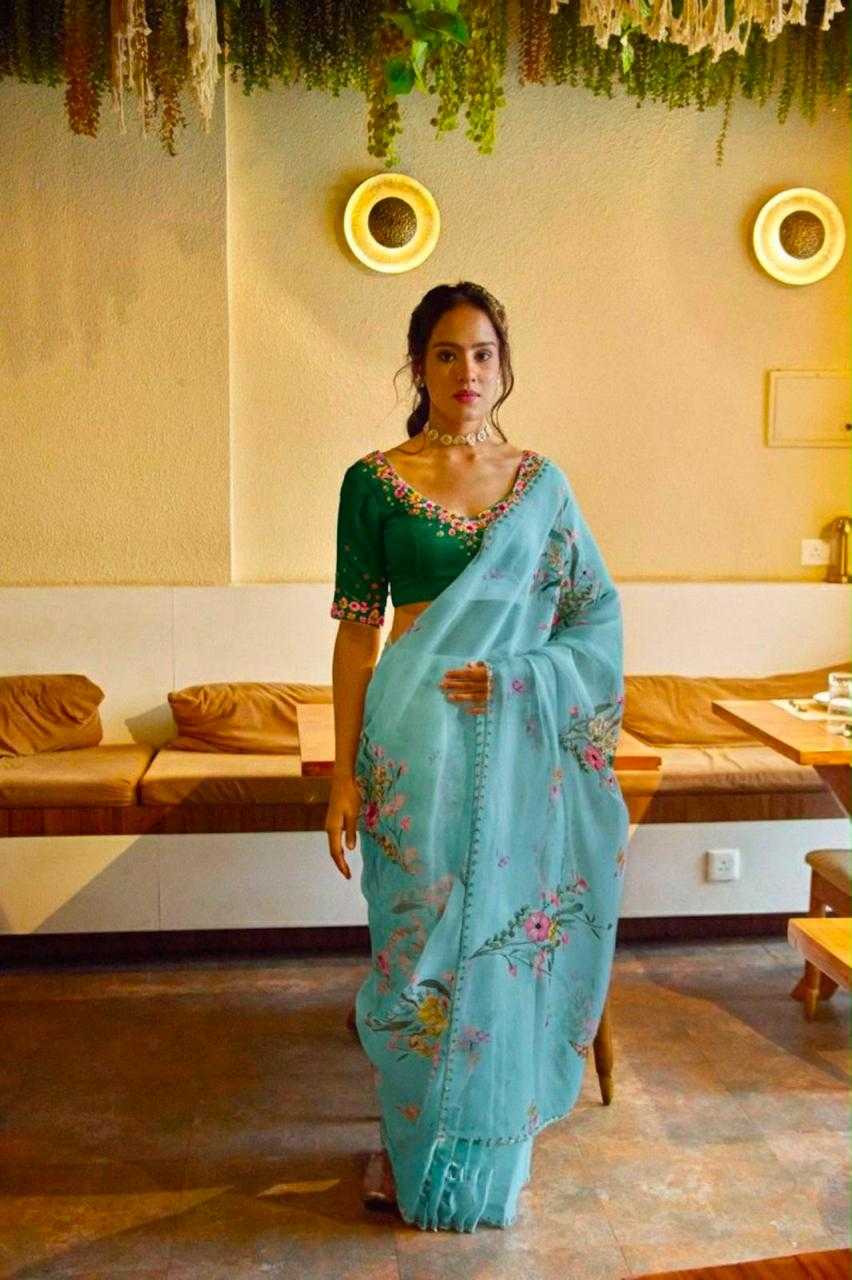 Organza Sequence Saree