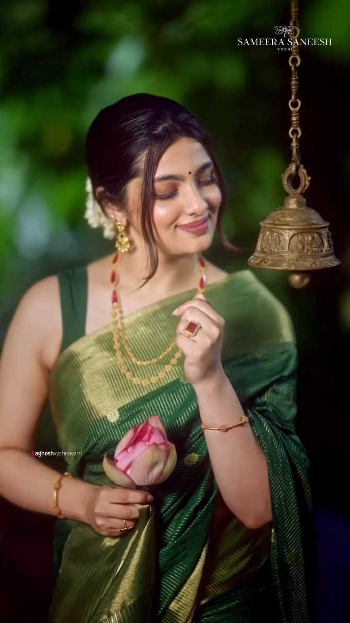 Banarasi Silk Saree