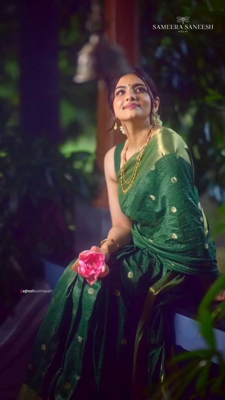 Banarasi Silk Saree