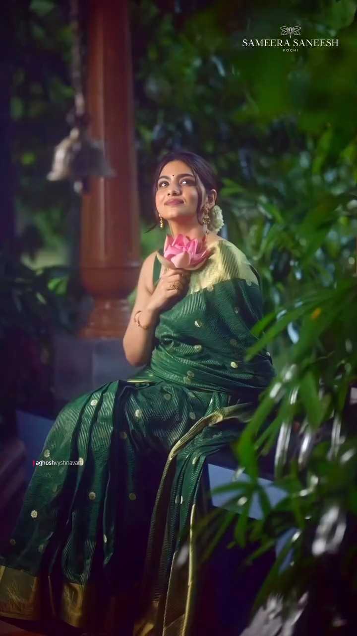 Banarasi Silk Saree