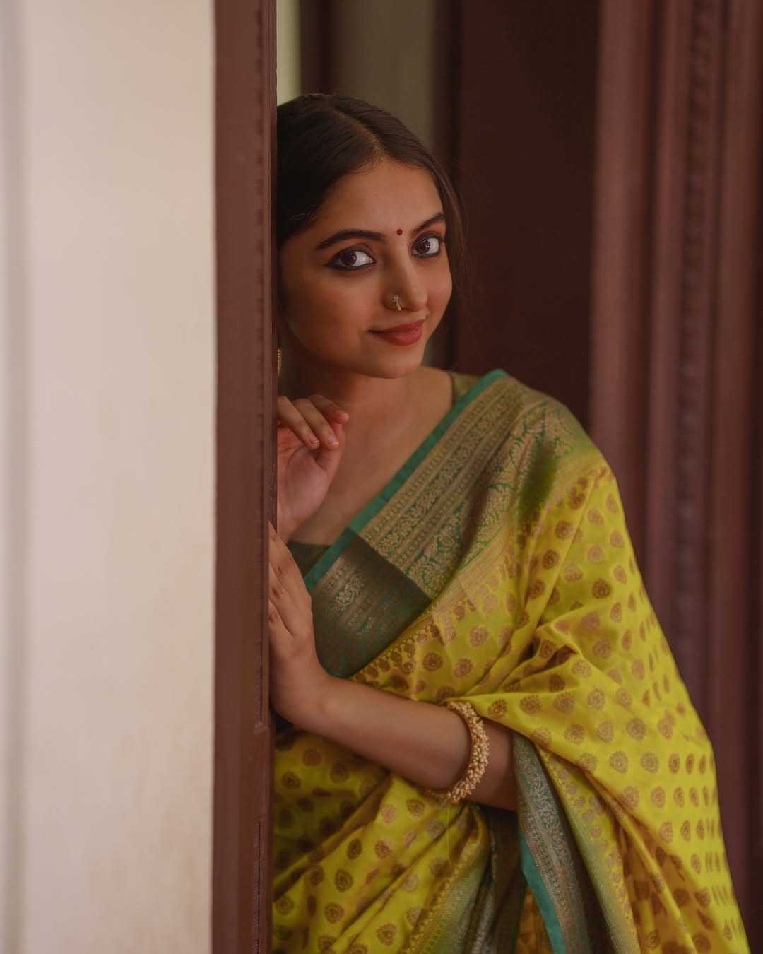 Banarasi Silk Saree