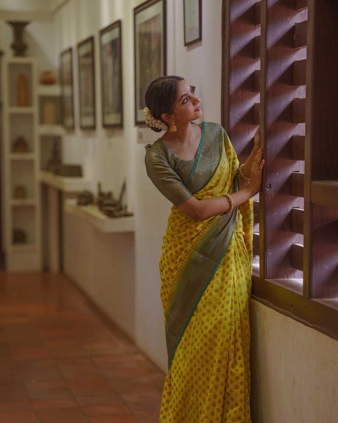 Banarasi Silk Saree