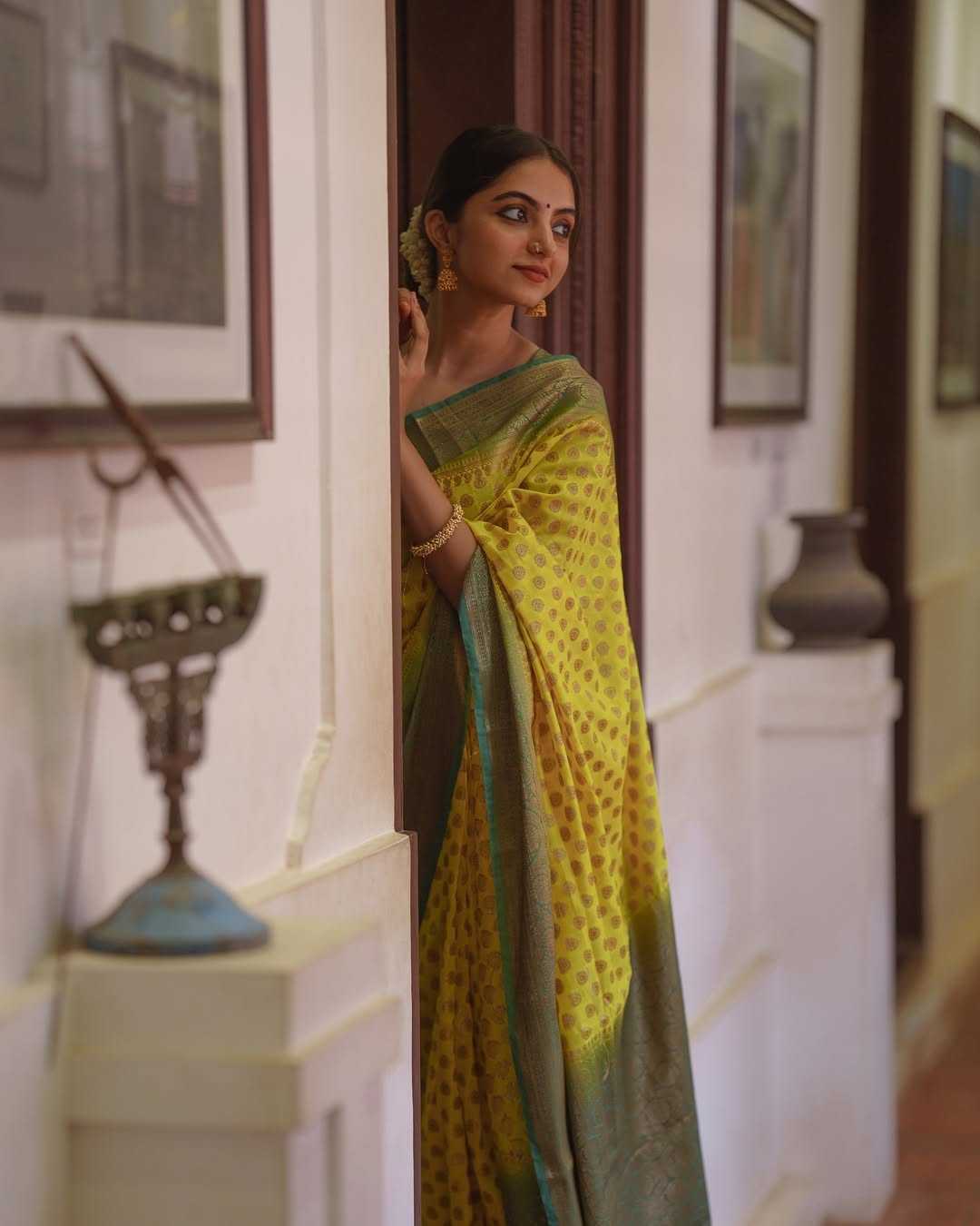 Banarasi Silk Saree