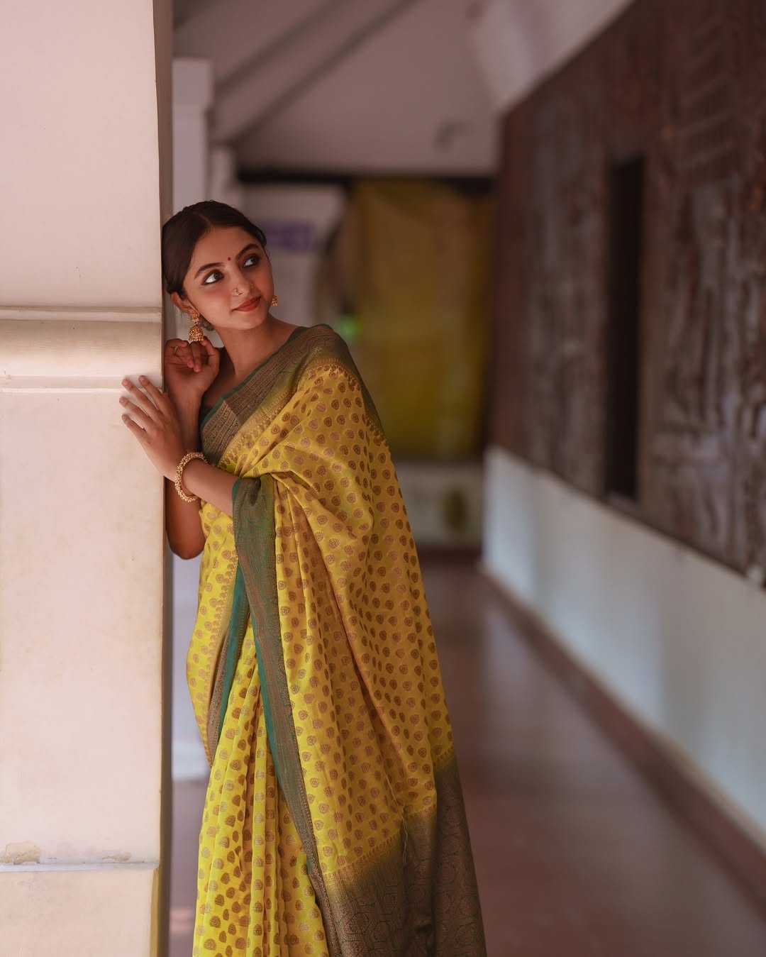 Banarasi Silk Saree