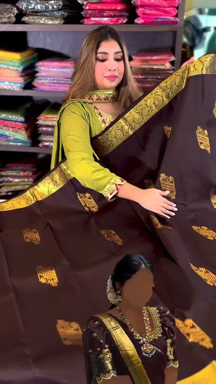 Banarasi Soft Silk Saree