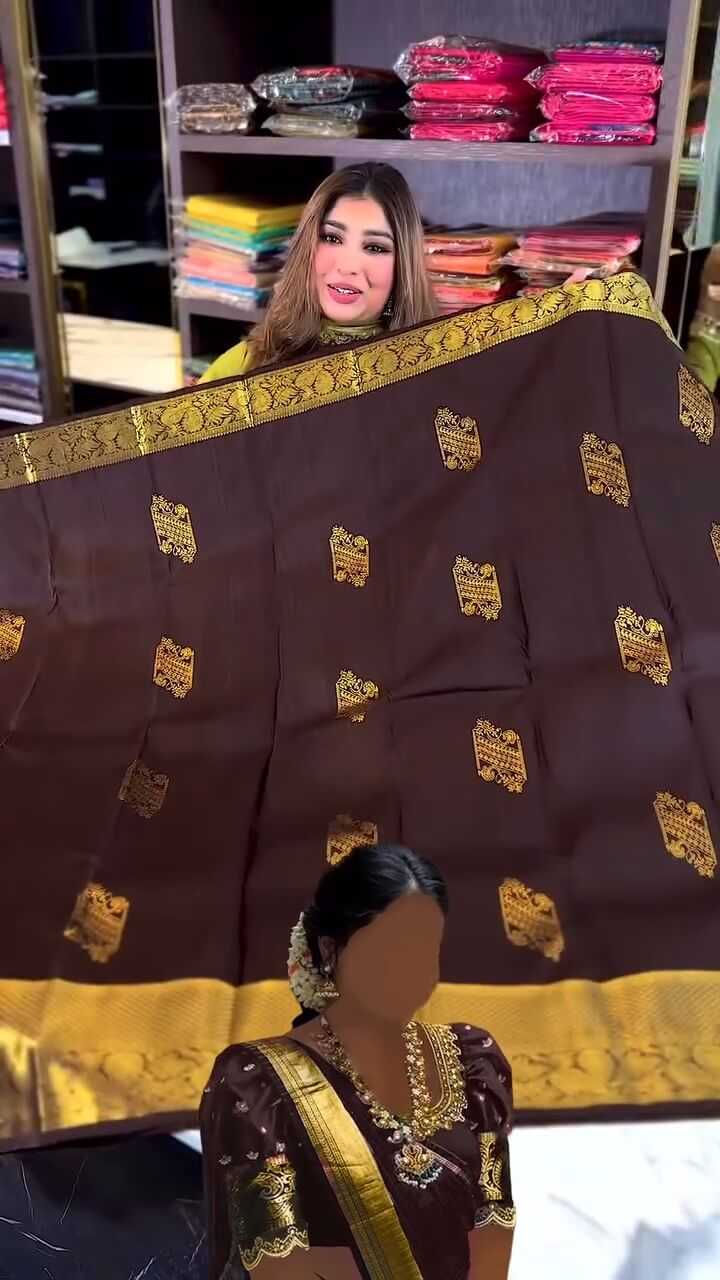 Banarasi Soft Silk Saree