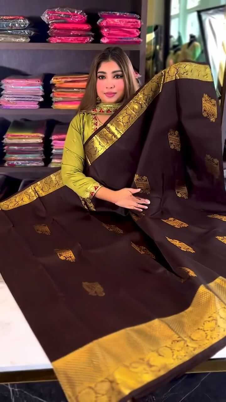 Banarasi Soft Silk Saree