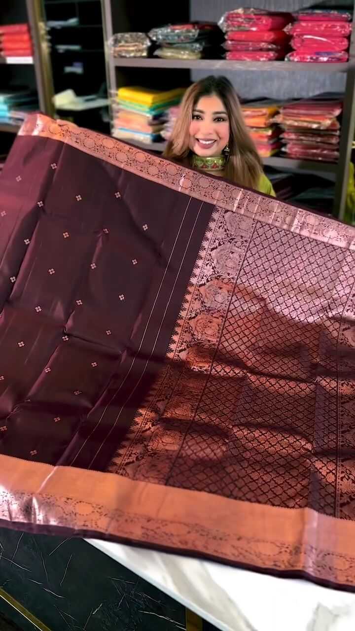Banarasi Soft Silk Saree