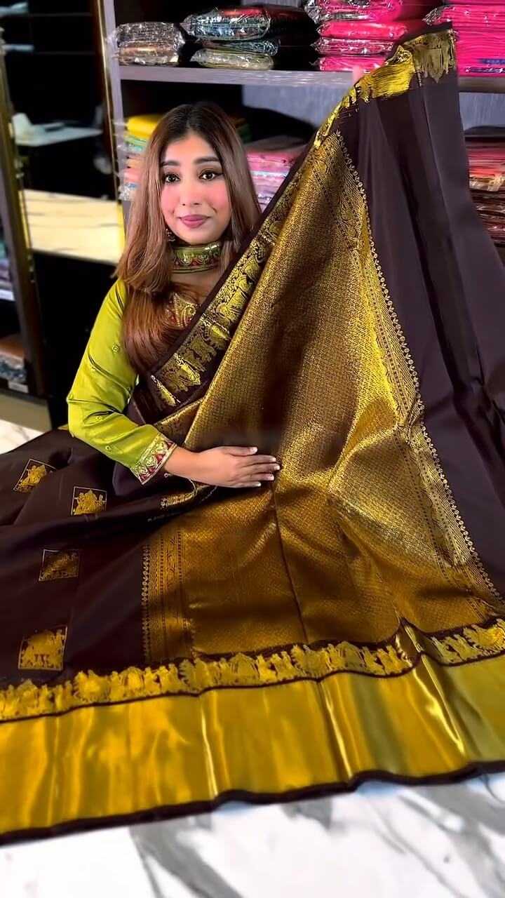 Banarasi Soft Silk Saree