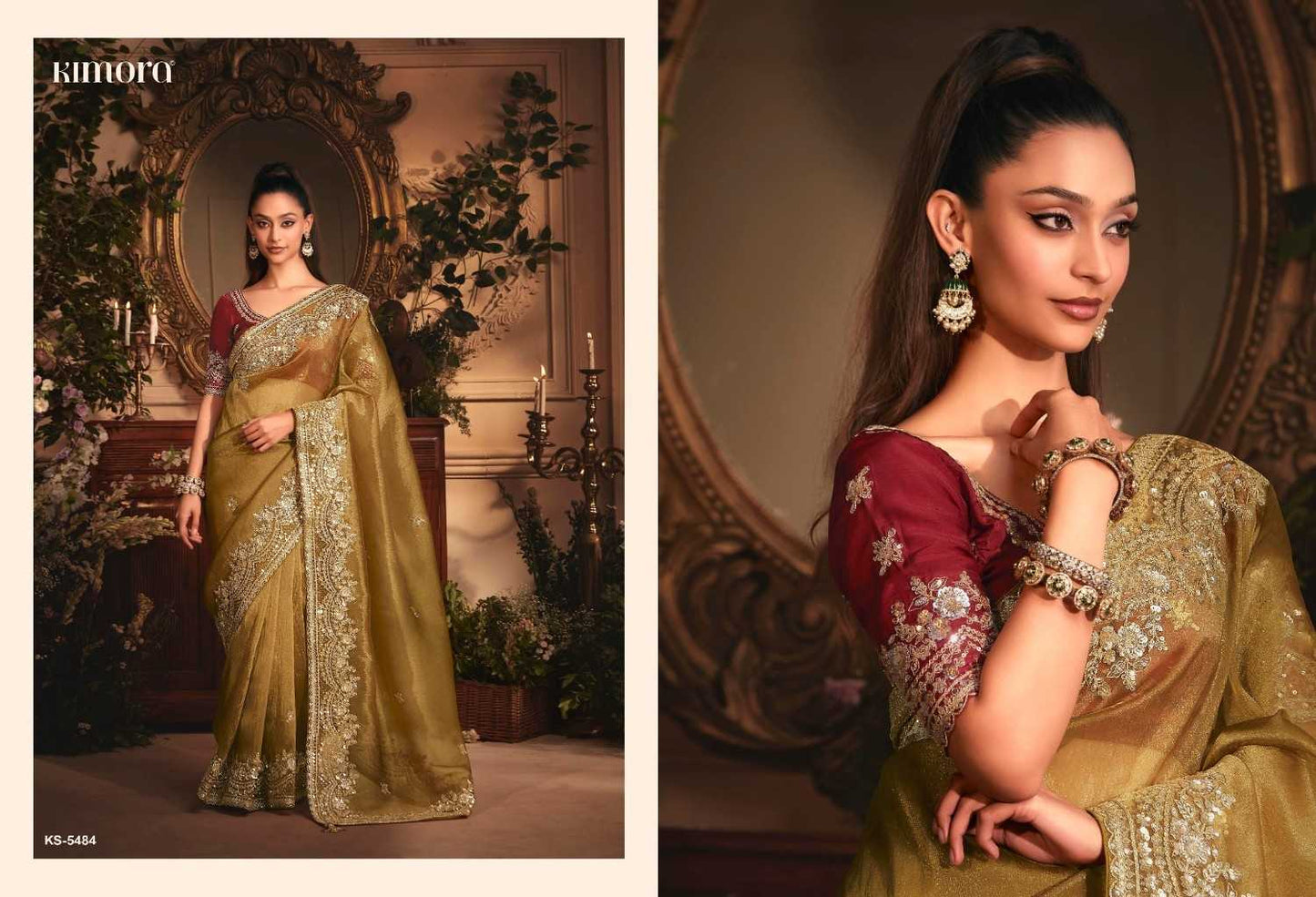 Tissue Party Wear Saree