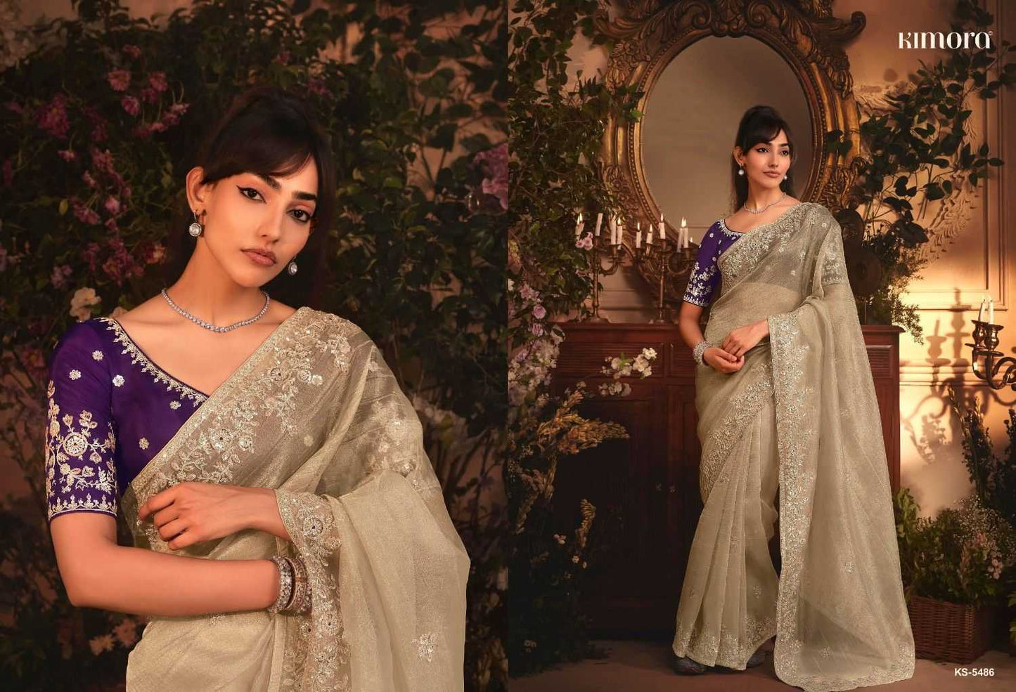 Tissue Party Wear Saree