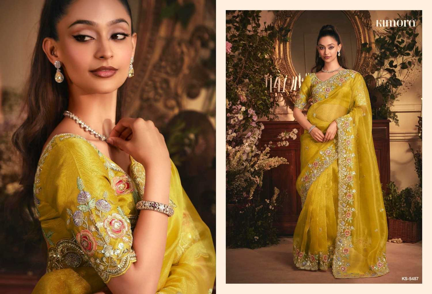 Tissue Party Wear Saree