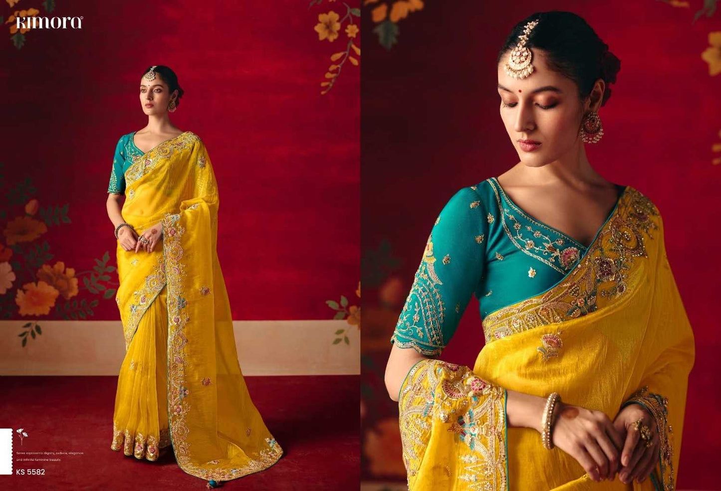Fancy Sequence Saree
