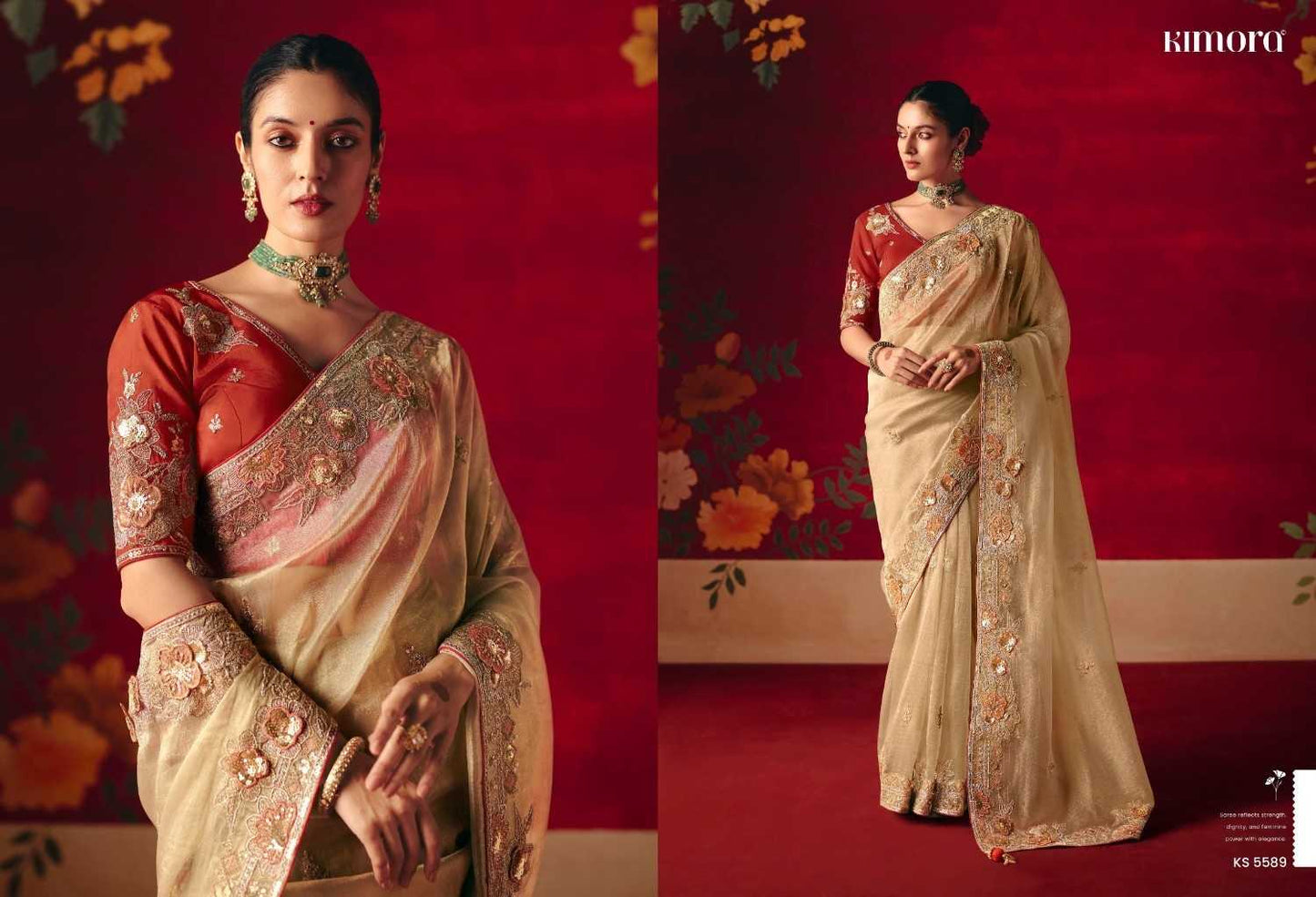Fancy Sequence Saree