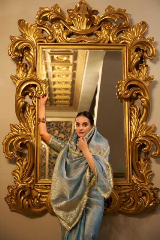 Tissue Sequin Saree