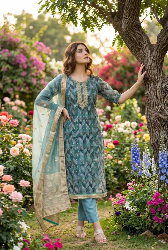 Organza Ladies Suit