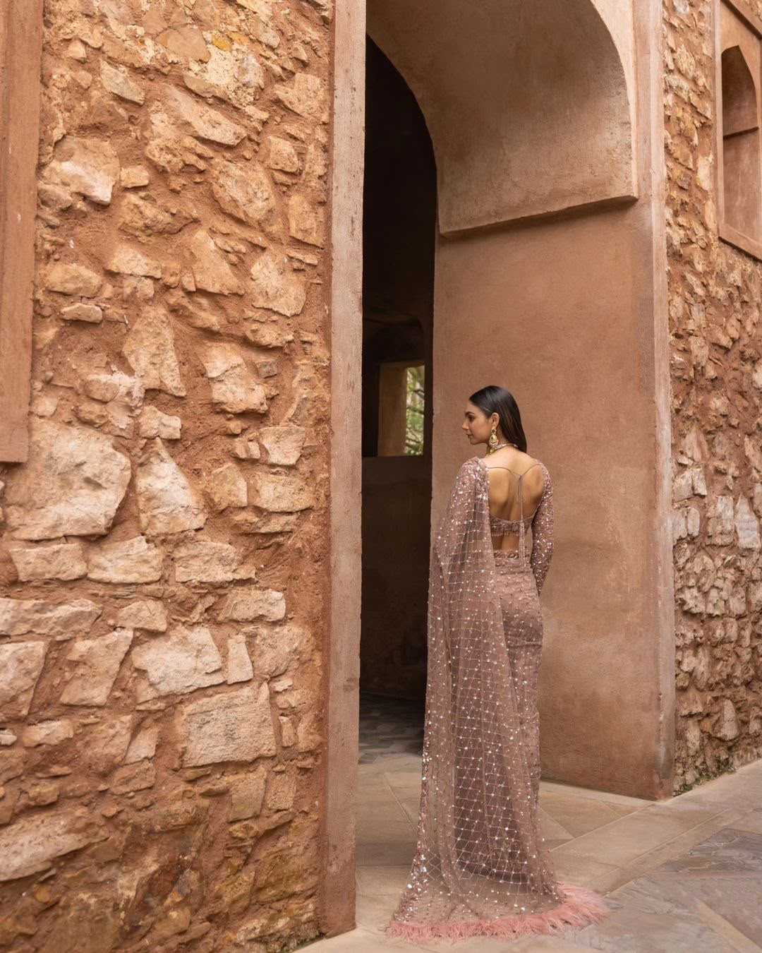 Net Sequence Saree