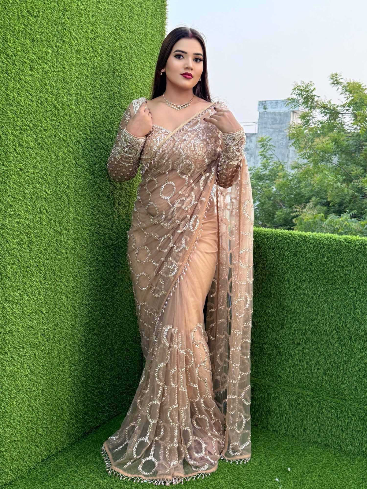 Soft Net Sequence Saree