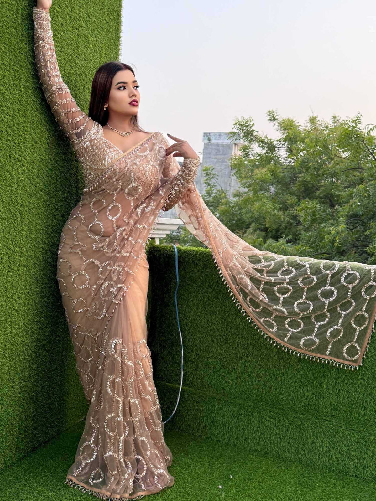 Soft Net Sequence Saree