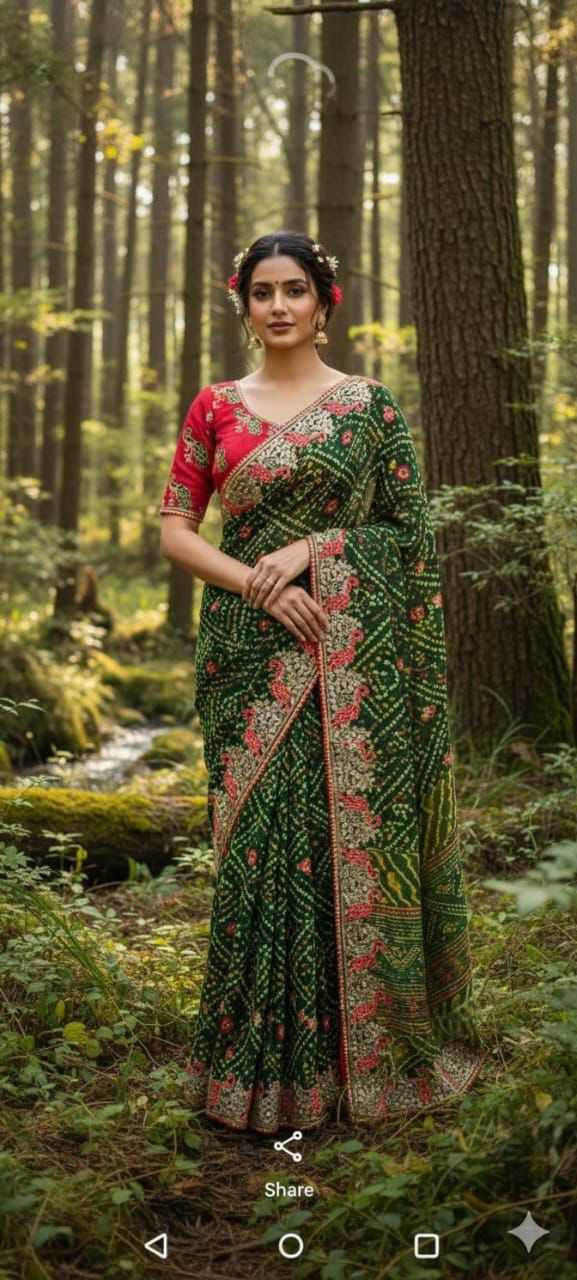 Embroidered Saree