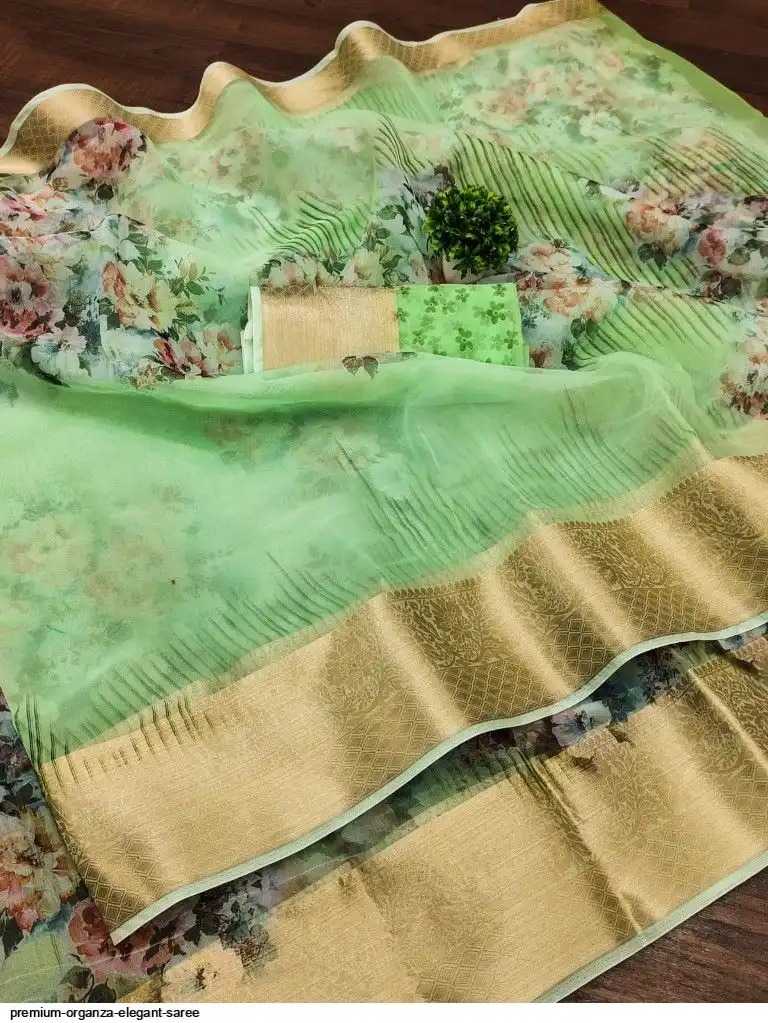 Ranjana Organza Designer Saree