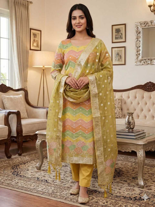 Organza Ladies Suit