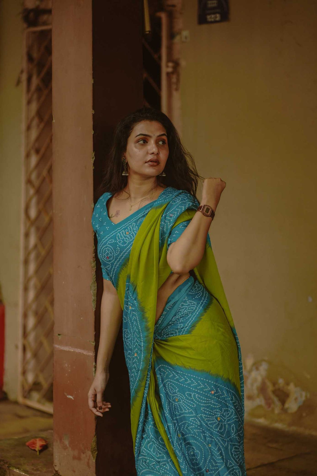 Fancy Printed Saree