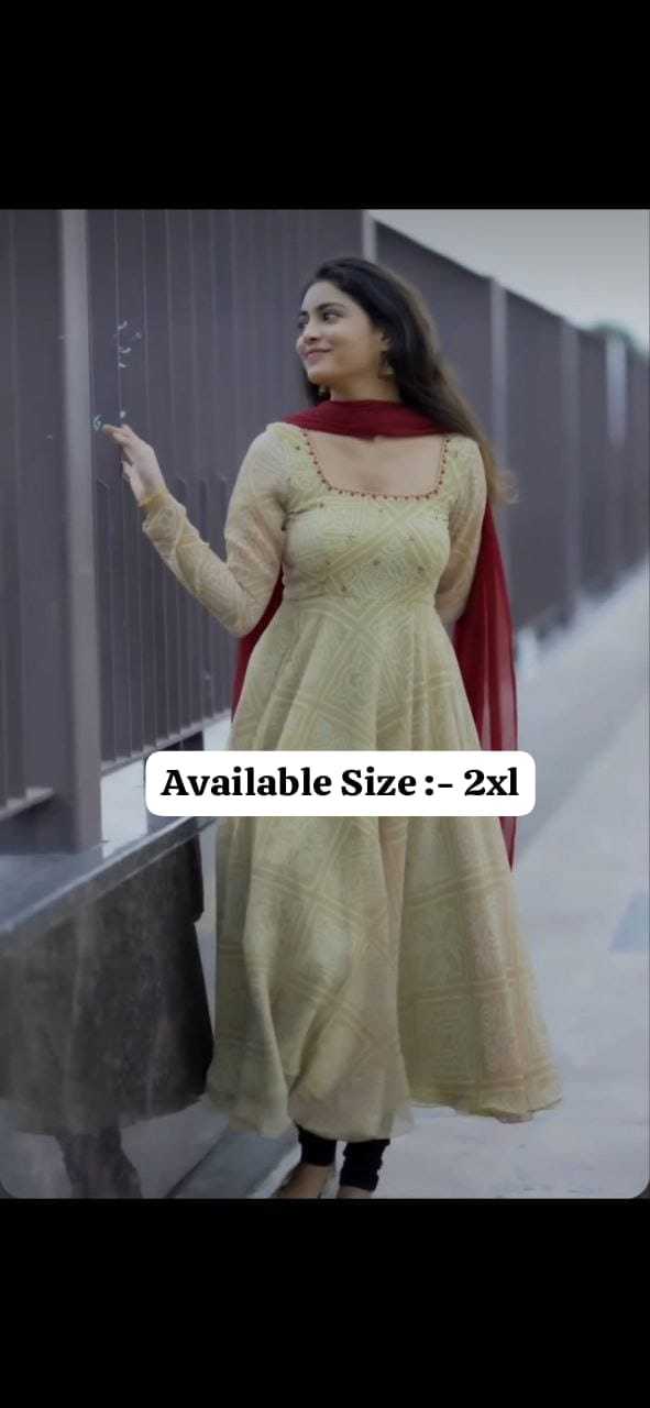 Faux Georgette Fancy Gown 200