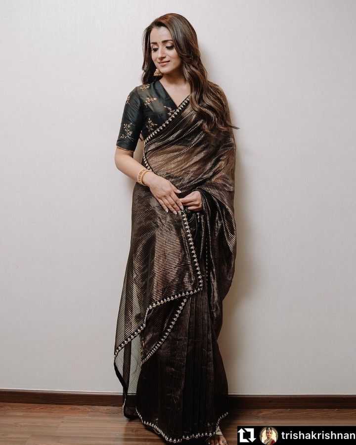 Trisha Organza Designer Saree