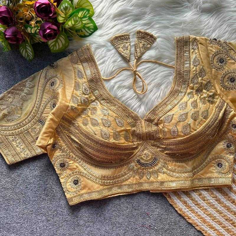 Kashvi Italian Silk Designer Blouse
