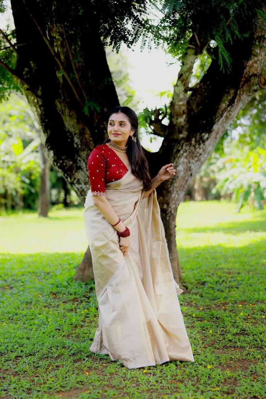 Tissue Silk Saree