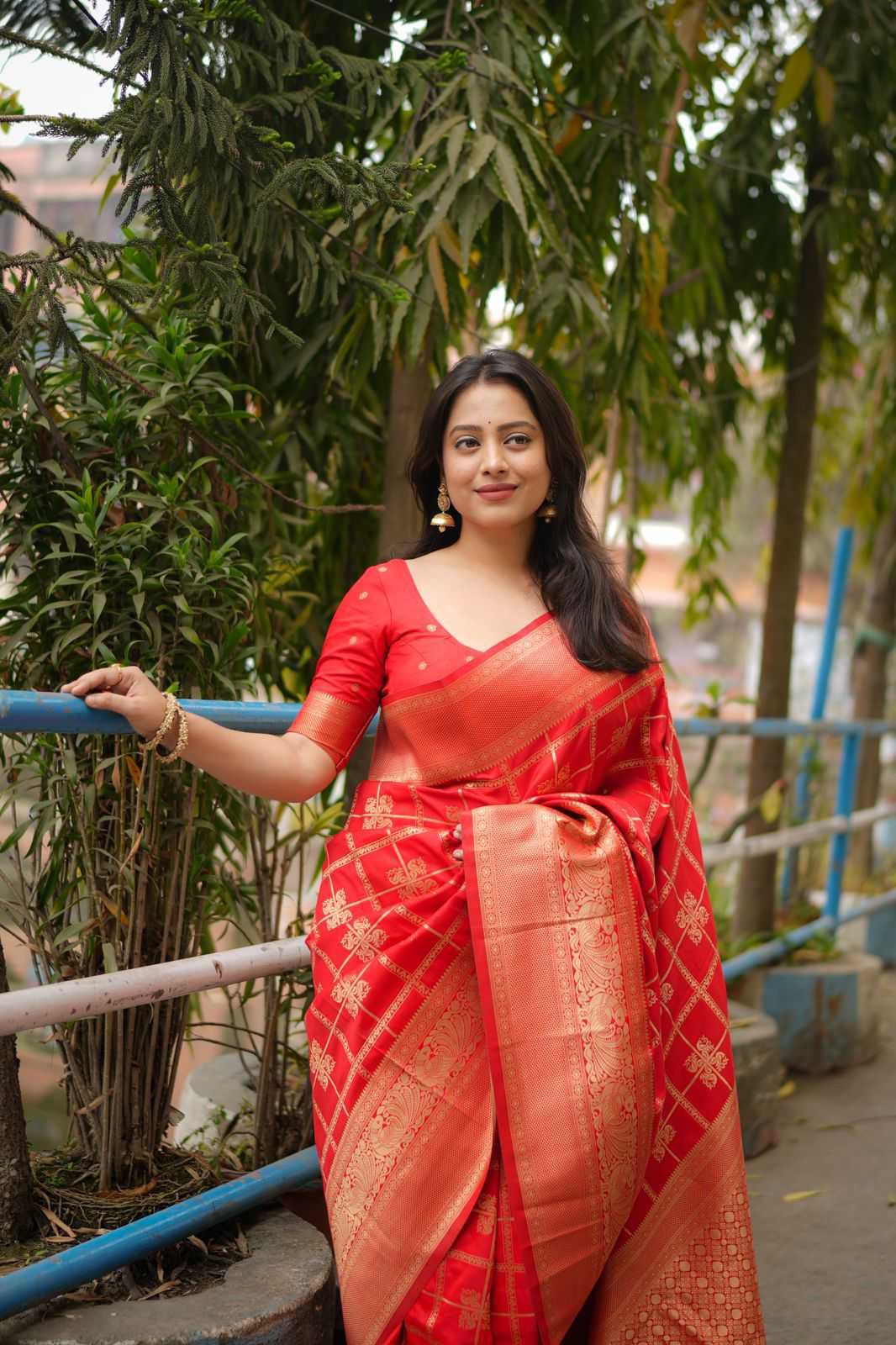 Soft Silk Fancy Saree