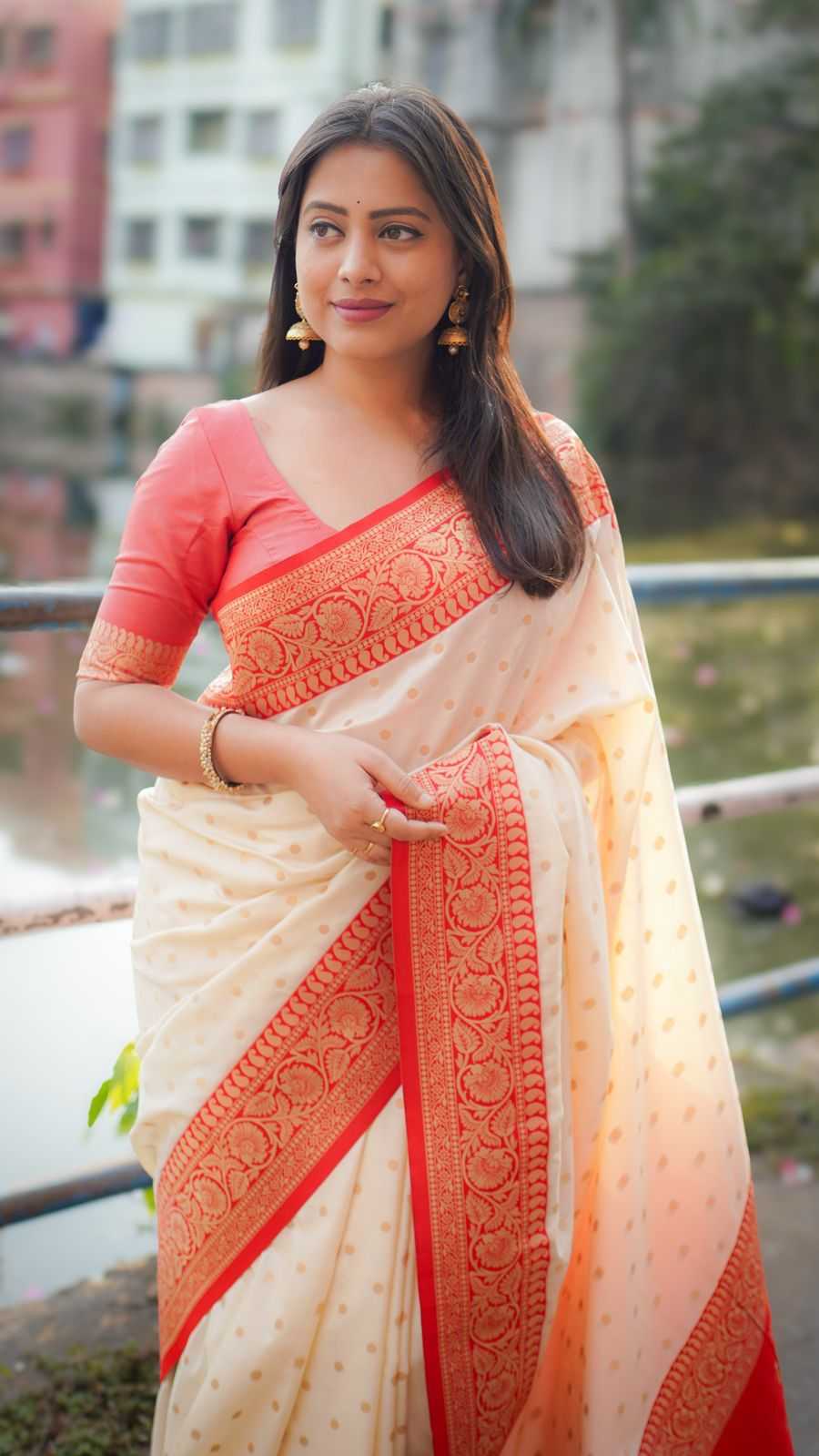 Designer Saree