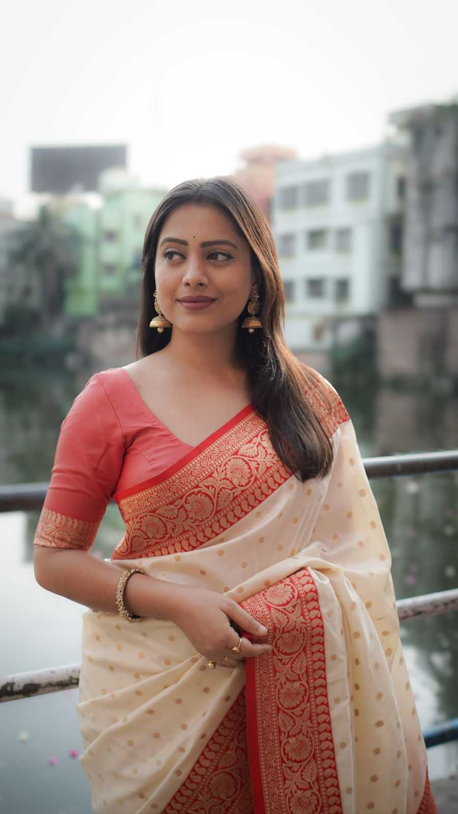 Designer Saree