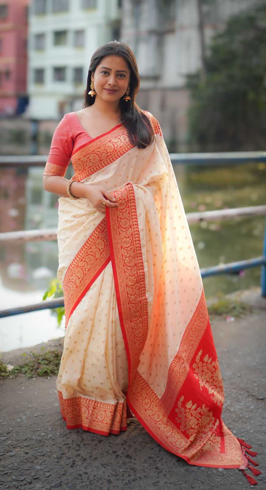 Designer Saree