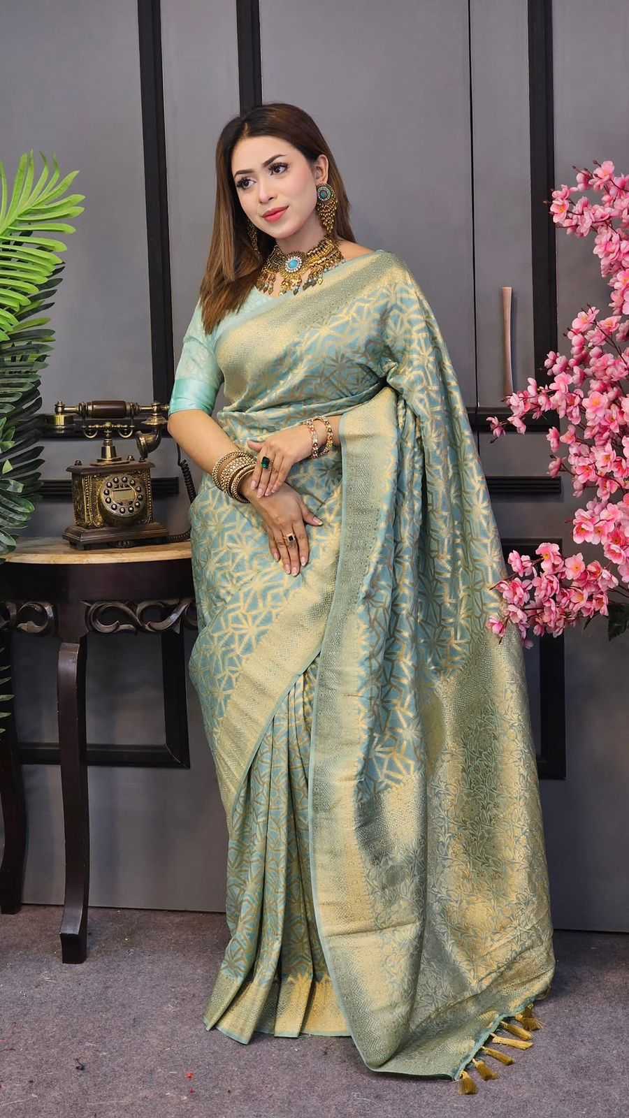 Fancy Saree