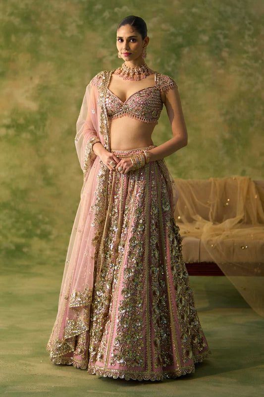 Butterfly Net Fancy Lehenga