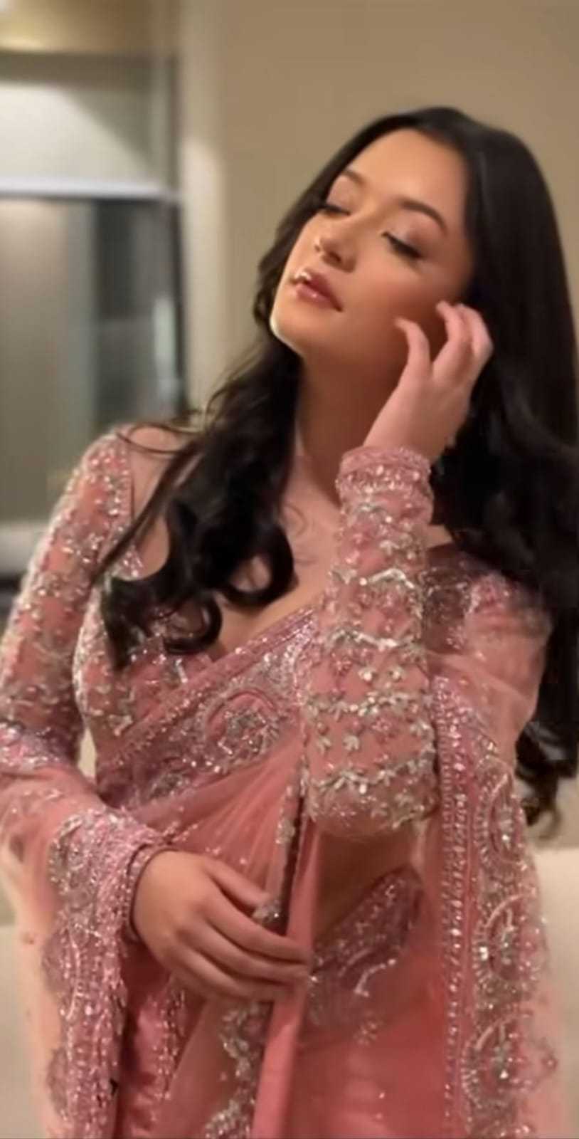 Butterfly Net Saree