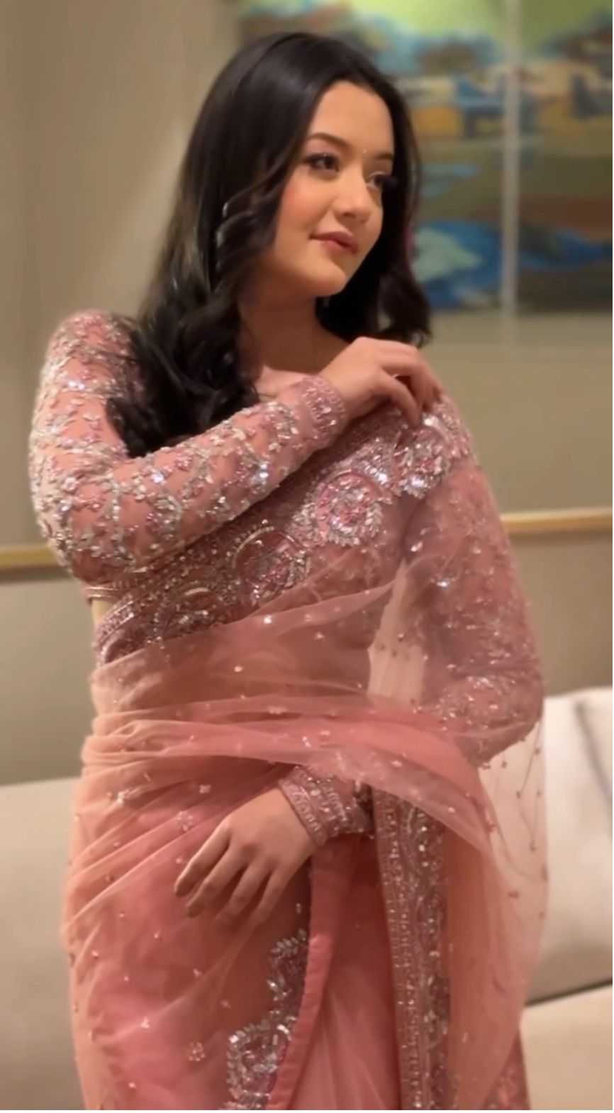 Butterfly Net Saree