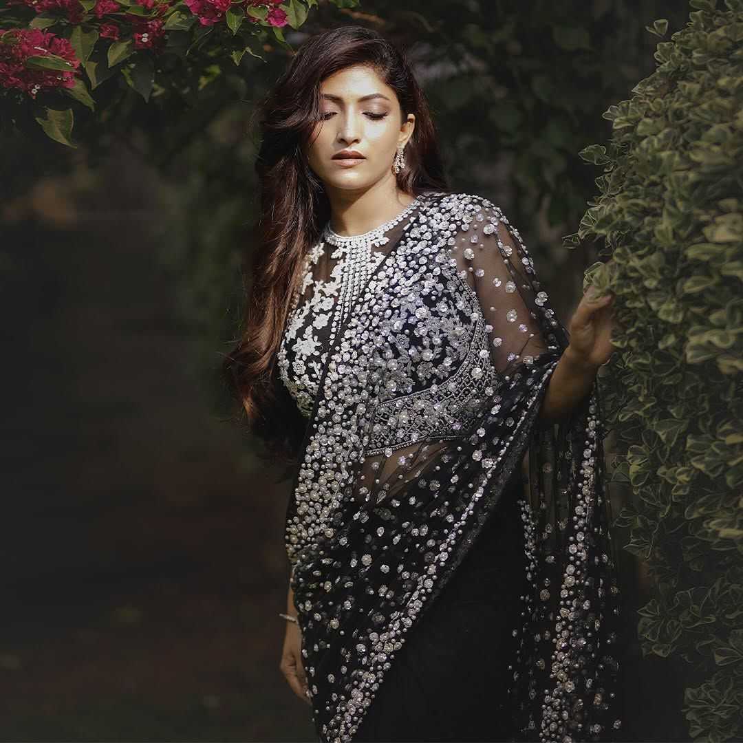Butterfly Net Sequence Saree