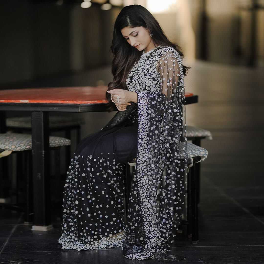 Butterfly Net Sequence Saree