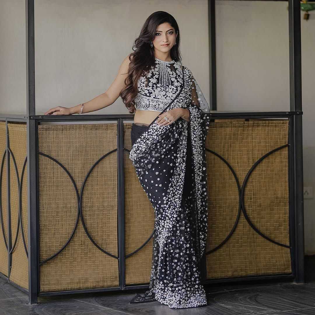 Butterfly Net Sequence Saree
