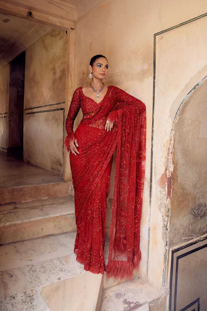 Butterfly Net Sequence Saree
